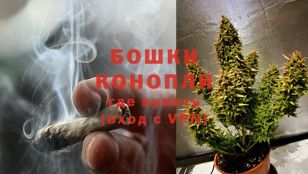 гидра Кинешма